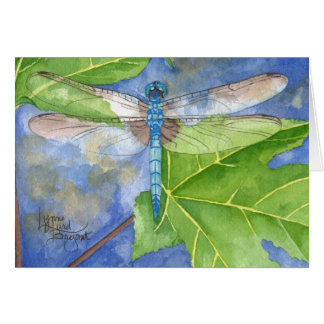 May Dragonfly