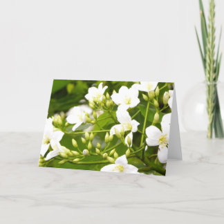 May Flower/ Flora All-Occasion Greetings Card