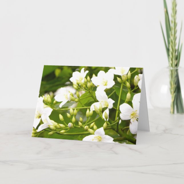 May Flower/ Flora All-Occasion Greetings Card (Front)