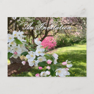 May Flowers Pink Invitation Postcard