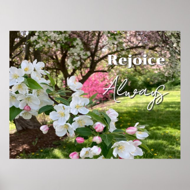 May Flowers Pink Rejoice Always Poster (Front)