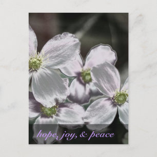 May God give you hope, joy, and peace Romans 15:13 Holiday Postcard