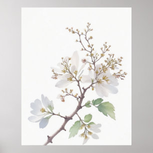May Hawthorn Birth Flower Poster