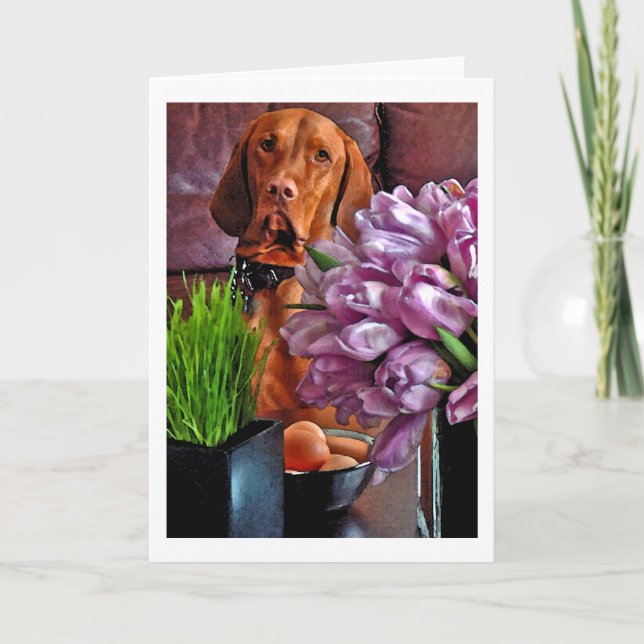 May I have one of those eggs? Holiday Card (Front)