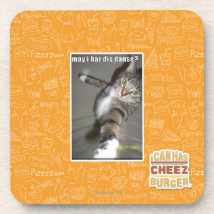 may I haz dis dance? Coaster