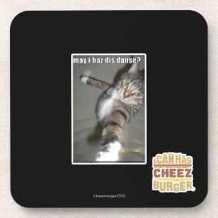 may I haz dis dance? Coaster
