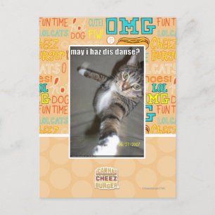 may I haz dis dance? Postcard