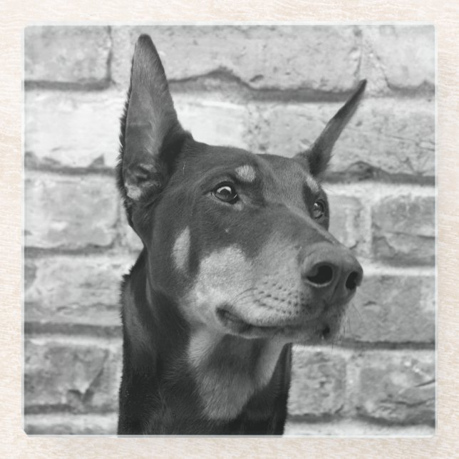 May I Lick Your Face Glass Coaster (Front)