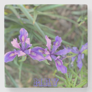 May Iris Stone Coaster