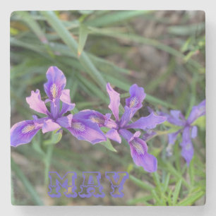 May Iris Stone Coaster