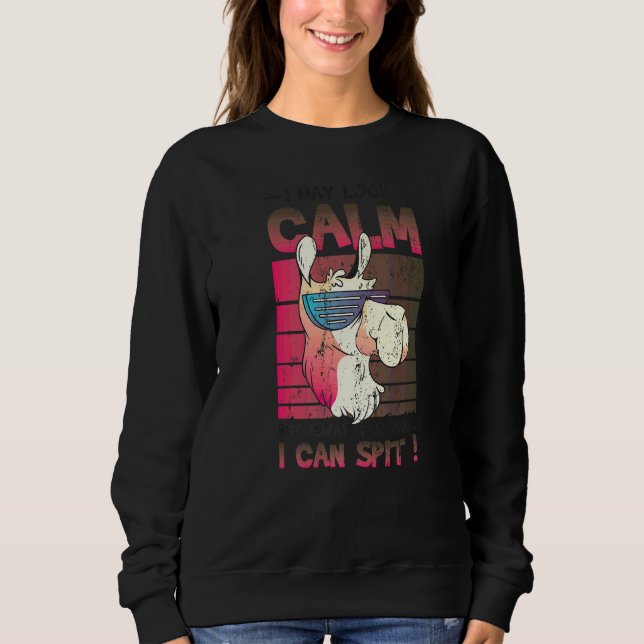 May Look Calm But I Can Spit Llama Sweatshirt (Front)