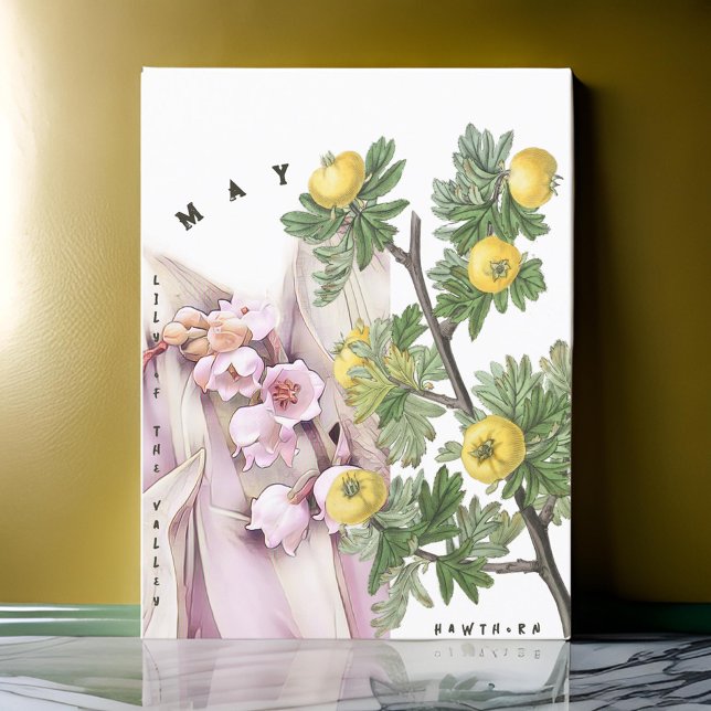 May Month Flowers Lily of the Valley Hawthorn Postcard (Creator Uploaded)