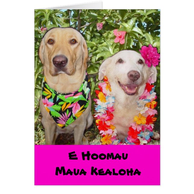 May Our Love Last Forever! (Front)