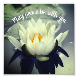 May Peace Be With You Lotus Inspirational 8x8 Photo Print