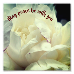 May Peace Be With You Peony Inspirational 8x8 Photo Print