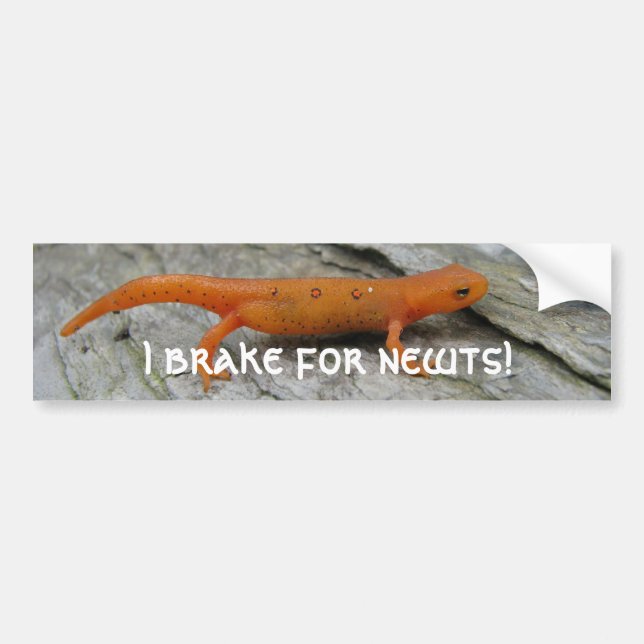 May photos 003, I brake for newts! Bumper Sticker (Front)