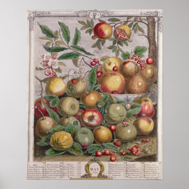 May, 'Twelve Months of Fruits' Poster (Front)