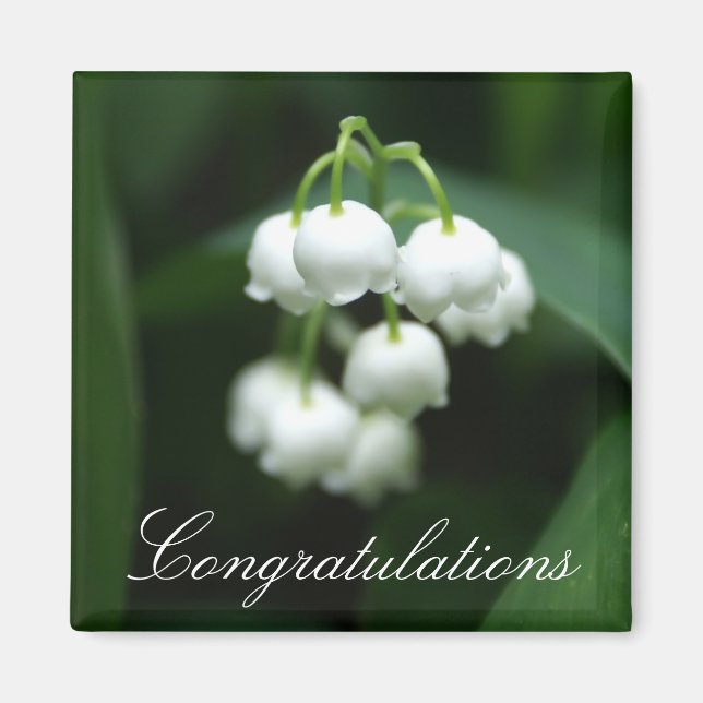 May white lilies magnet (Front)