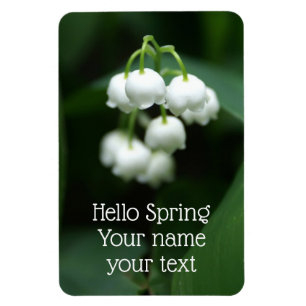May white lilies magnet