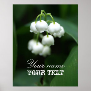 May white lilies poster