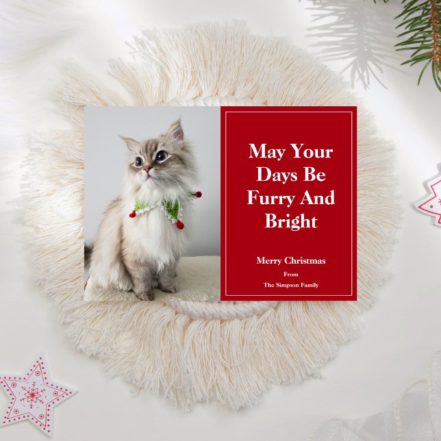 May Your Days Be Furry And Bright Christmas Cat  Holiday Card (Creator Uploaded)