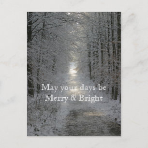 May your days be Merry and Bright Holiday Postcard