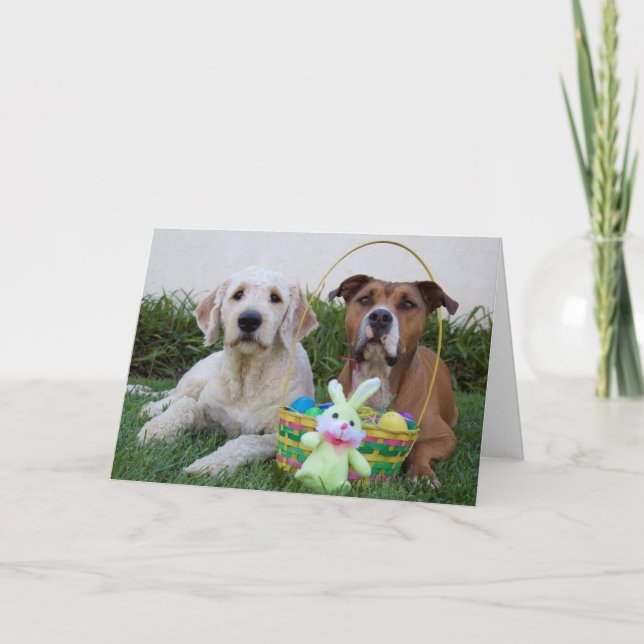 May your easter be egg-cellent card (Front)