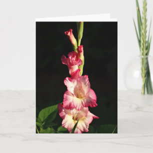 May Your Heart Be Glad, Gladiola Card