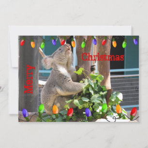 May Your Lights Shine Bright. Koala Christmas Holiday Card
