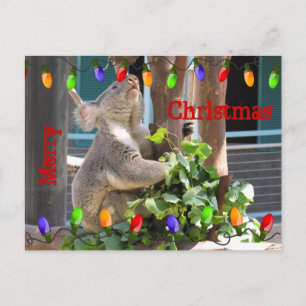 May your lights shine bright. Postcard