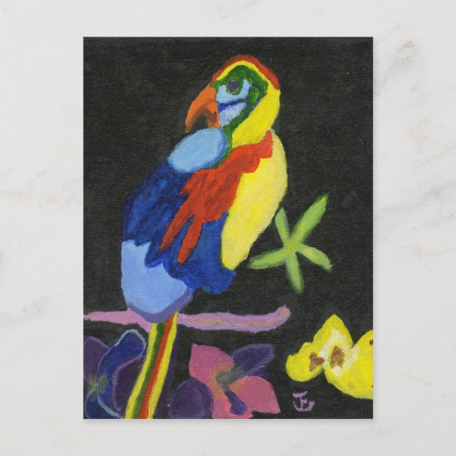 Maya Macaw Postcard (Front)