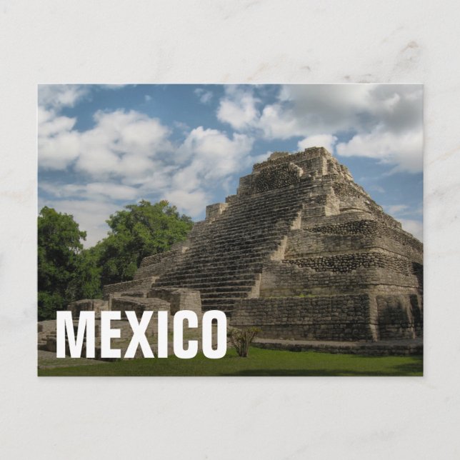 Mayan Pyramid Postcard (Front)