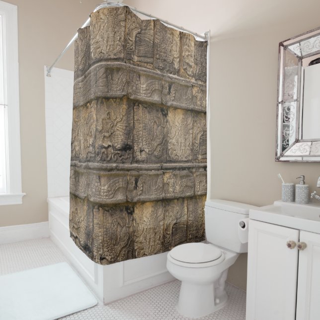 Mayan Relief Shower Curtain (In Situ)