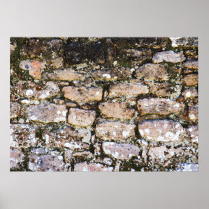 Mayan Ruins Wall  Poster