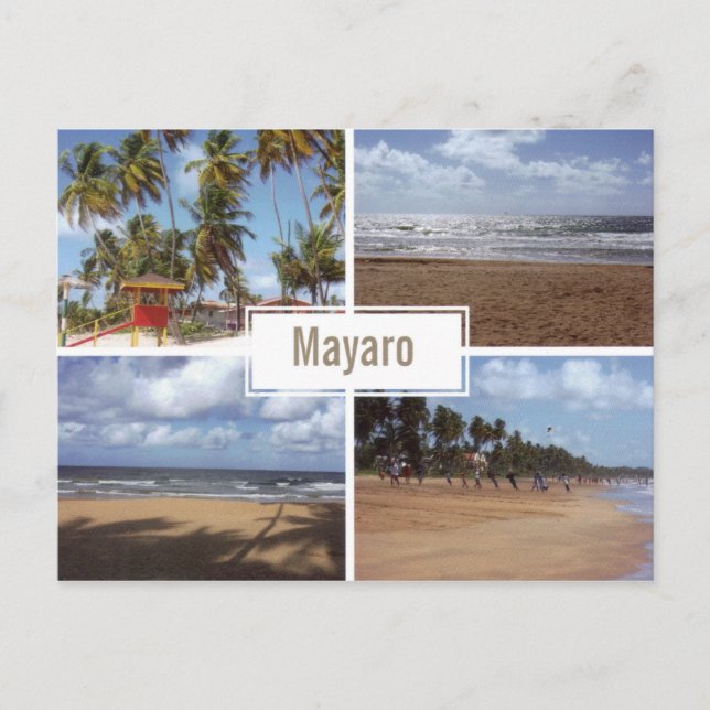 Mayaro Beach Collage (Multi-view) Postcard (Front)
