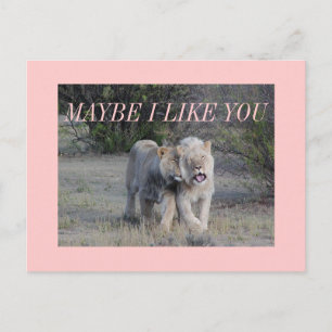maybe postcard