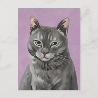 Maybelle the Grey Tabby Cat Postcard