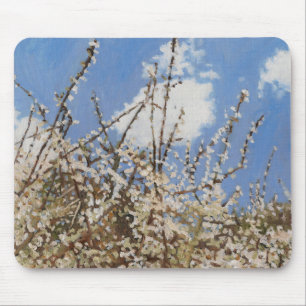 Mayflower 2012 mouse mat