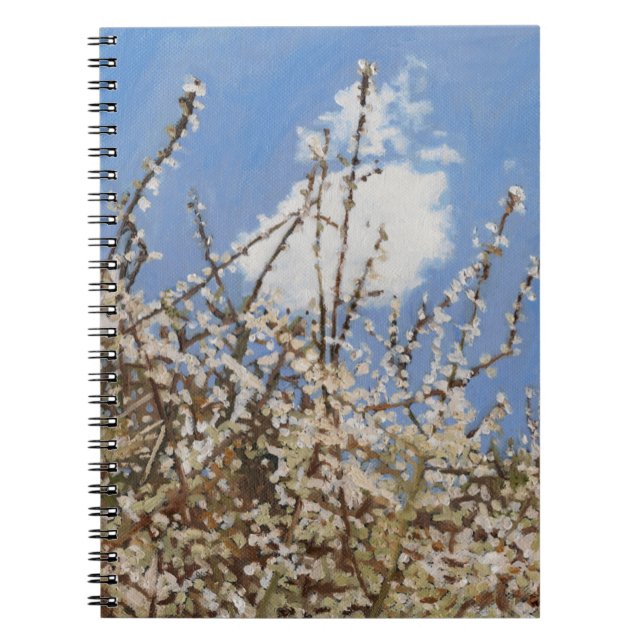 Mayflower 2012 notebook (Front)