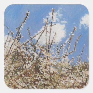 Mayflower 2012 square sticker