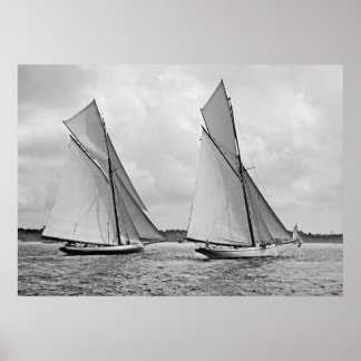Mayflower and Galatea Start America's Cup 1886 Poster
