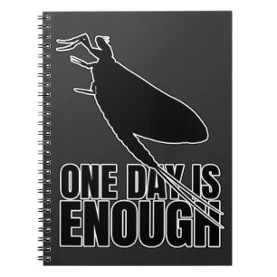 Mayflower One Day Flies – Entomology Geek Notebook