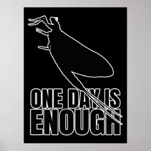 Mayflower One Day Flies – Entomology Geek Poster