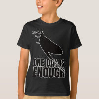 Mayflower One Day Flies – Entomology Geek