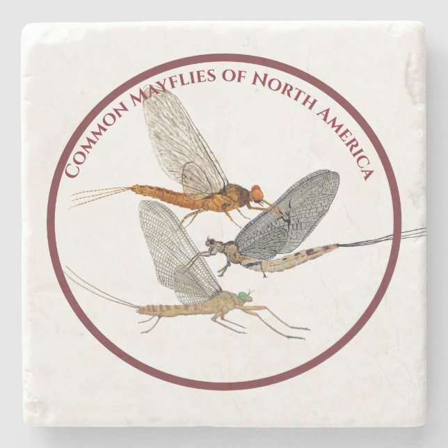 Mayfly Coasters (Front)