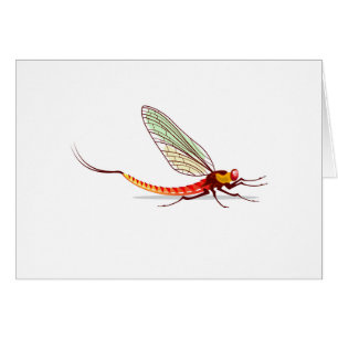 Mayfly vector