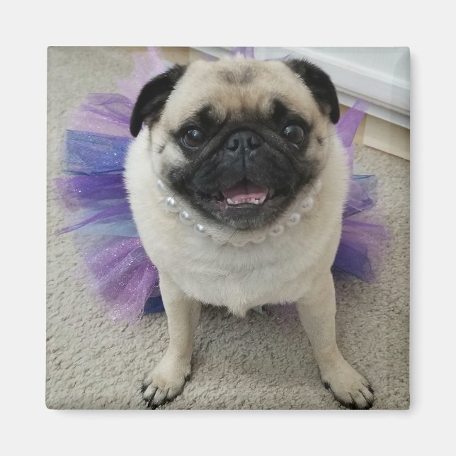 Maylene Magnet (Front)