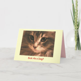 Maynard The Maine Coon2, Sick As a... - Customised Card