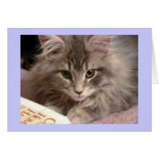 Maynard's Trashy Novel Card