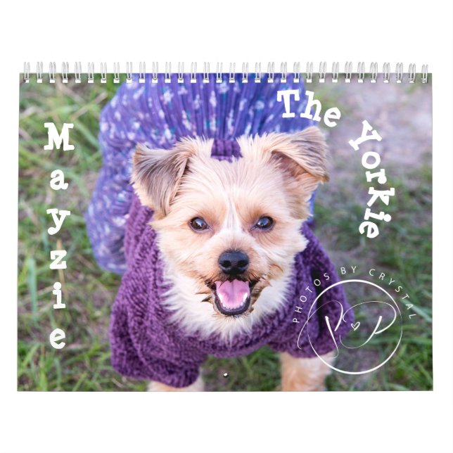 Mayzie Calendar II (2022 Style) (Cover)